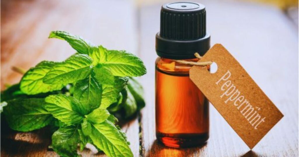 _Peppermint Oil – Instant Cooling Effect